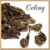 Oolong
